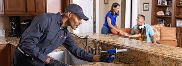 Best Real Estate Pest Inspections  in Park Ridge, NJ