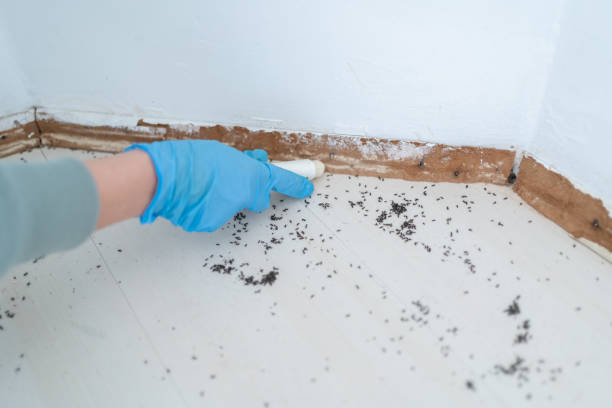 Best Pest Exclusion Services  in Park Ridge, NJ